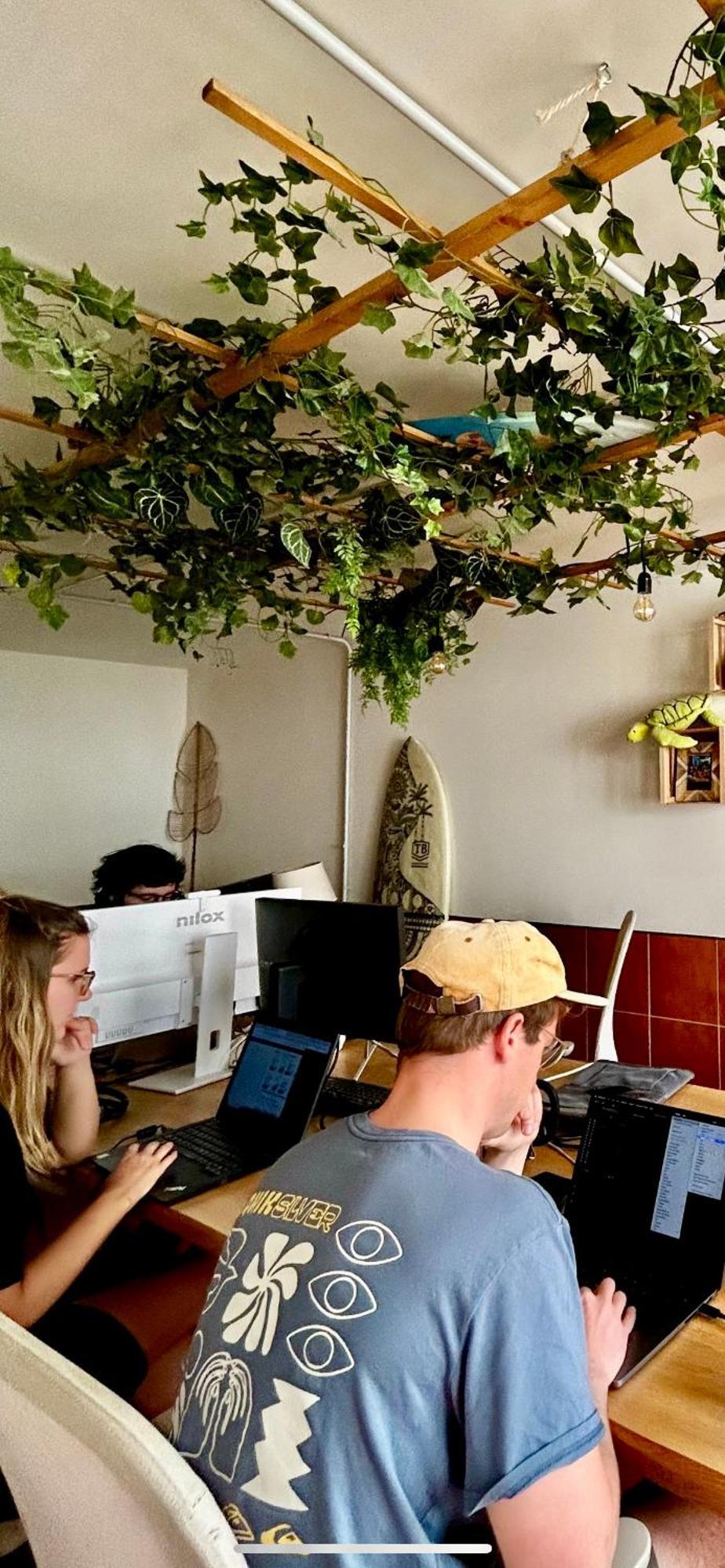 Hotel Coco Surfhouse - Coworking Coliving Corralejo Zewnętrze zdjęcie